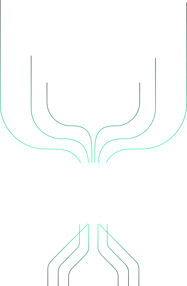 shape